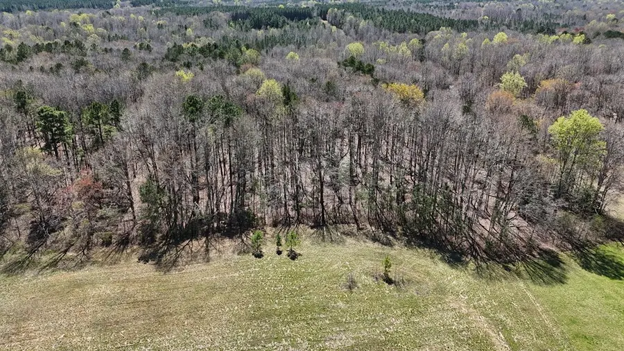 3005 Mineral Springs Road, Boydton, VA 23917 - Image #3