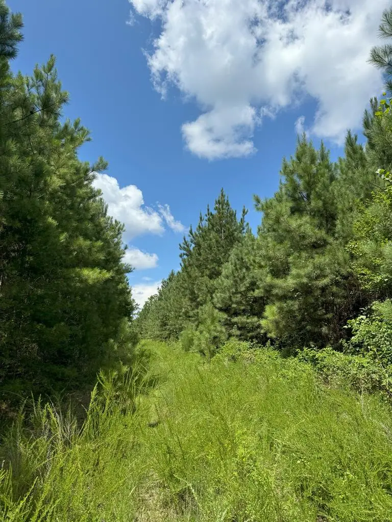 S Terrys Bridge Road, Scottsburg, VA 24589 - Image #3