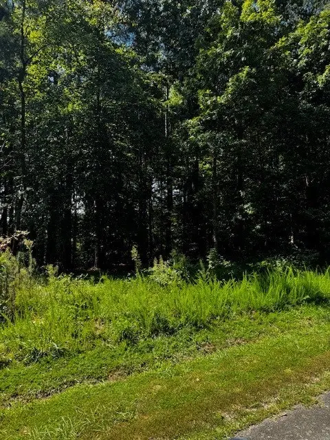 5 & 6 Stripers Cove Lane, Clarksville, VA 23927 - Image #2