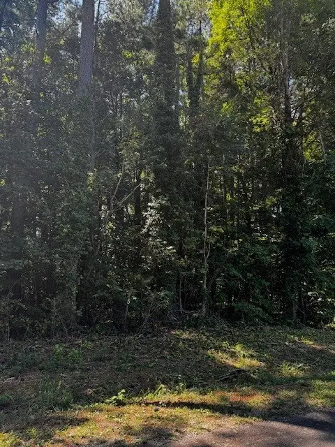 5 & 6 Stripers Cove Lane, Clarksville, VA 23927 - Image #3