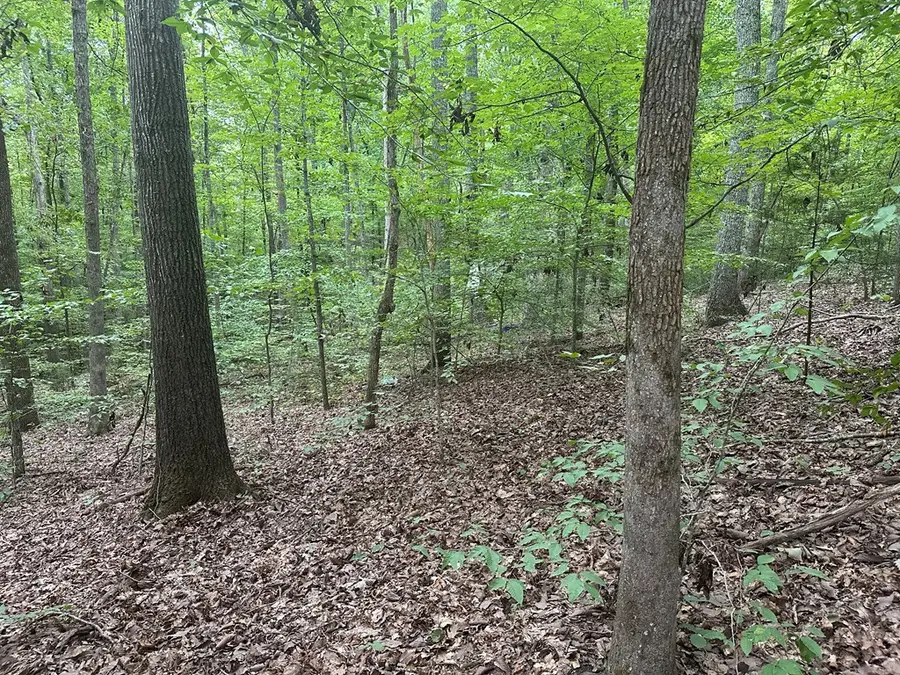 1.1 Acs Roanoke Drive, Clarksville, VA 23927 - Image #2