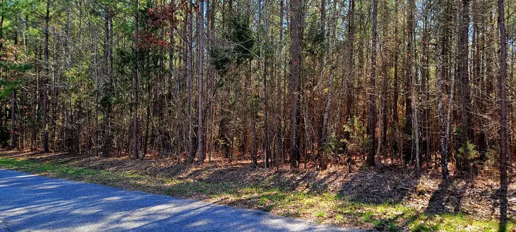 W Orgainsville Road, Clarksville, VA 23927 - Image #1