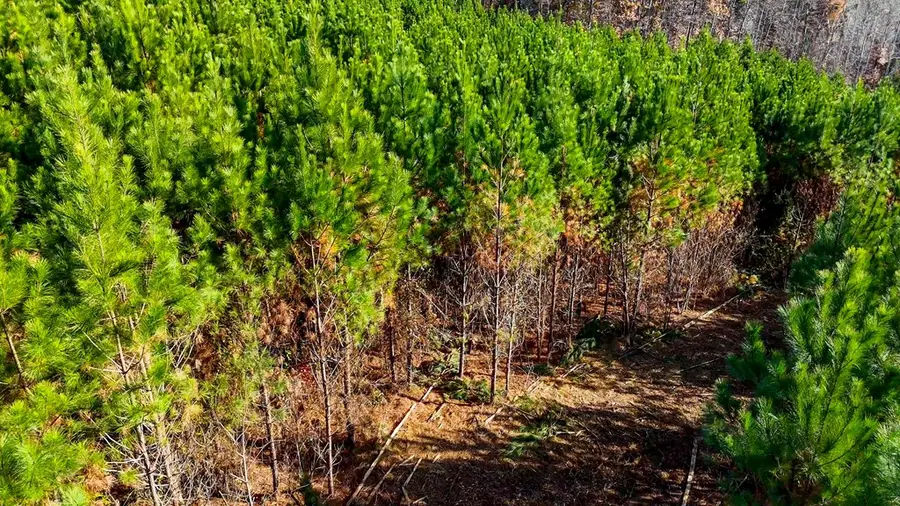 44 Winston Road, Nelson, VA 24580 - Image #3