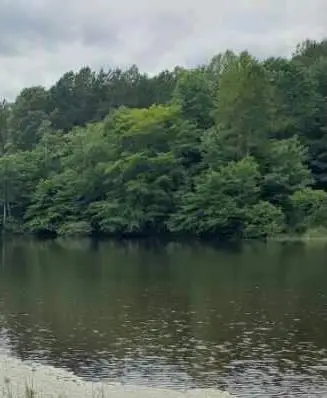 11 Laura Vannoy Trail, Nathalie, VA 24577 - Image #1