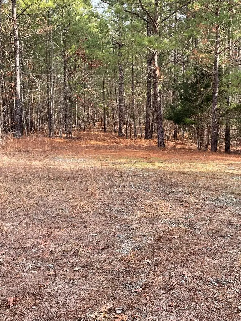 130 Eagle's Rest Drive, Clarksville, VA 23927 - Image #1