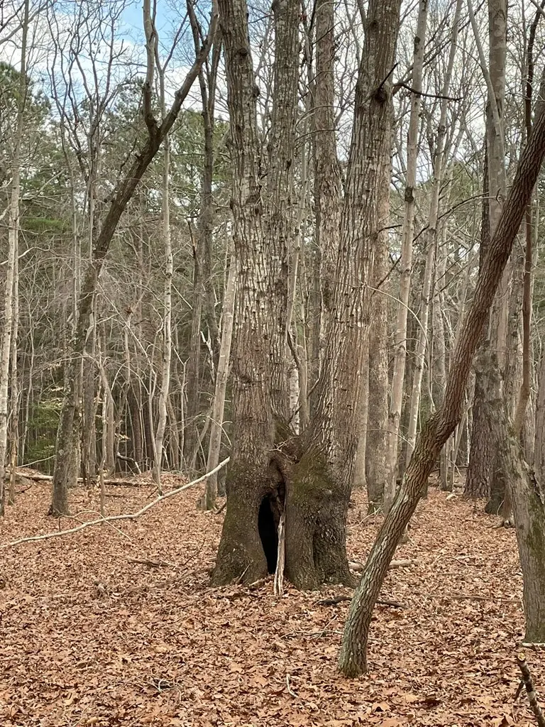 130 Eagle's Rest Drive, Clarksville, VA 23927 - Image #3