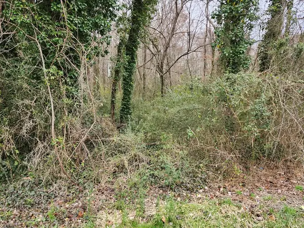 College Street, South Boston, VA 24592