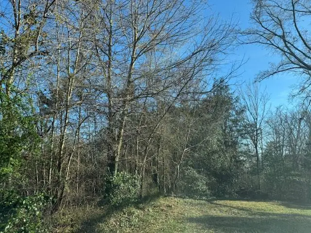 8 lots Vaughan Street, South Boston, VA 24592 - Image #1