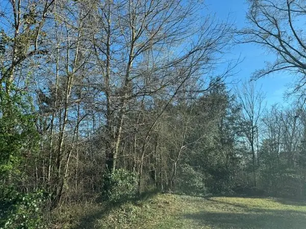 8 LOTS Vaughan Street, South Boston, VA 24592