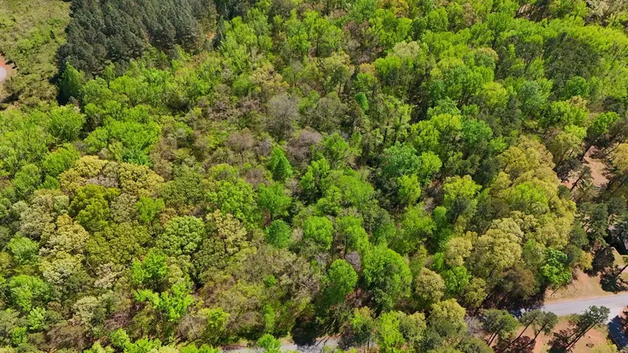 Lot6&7 Wellington Drive, Clarksville, VA 23927 - Image #3