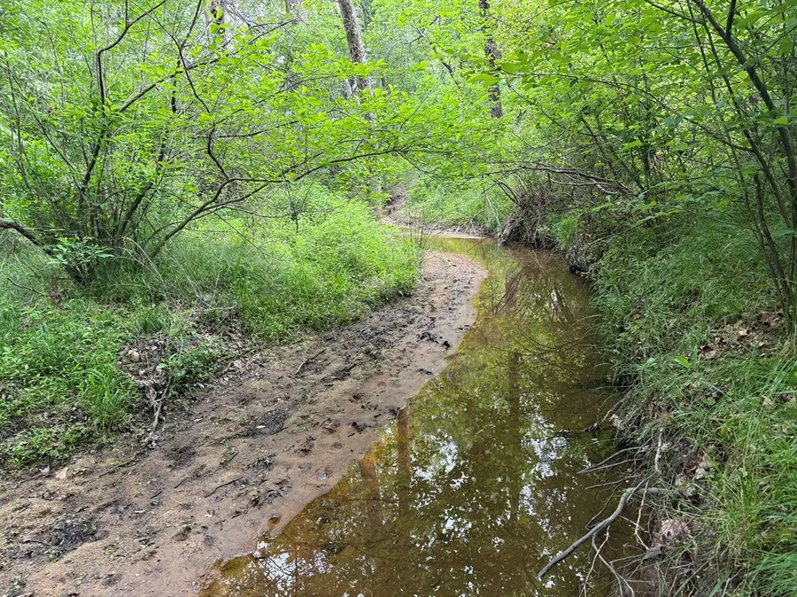 Pryor Road, Goochland, VA 2363 - Image #3