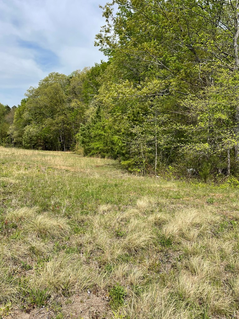 0 Snow Hill Road, Alton, VA 24520 - Image #3