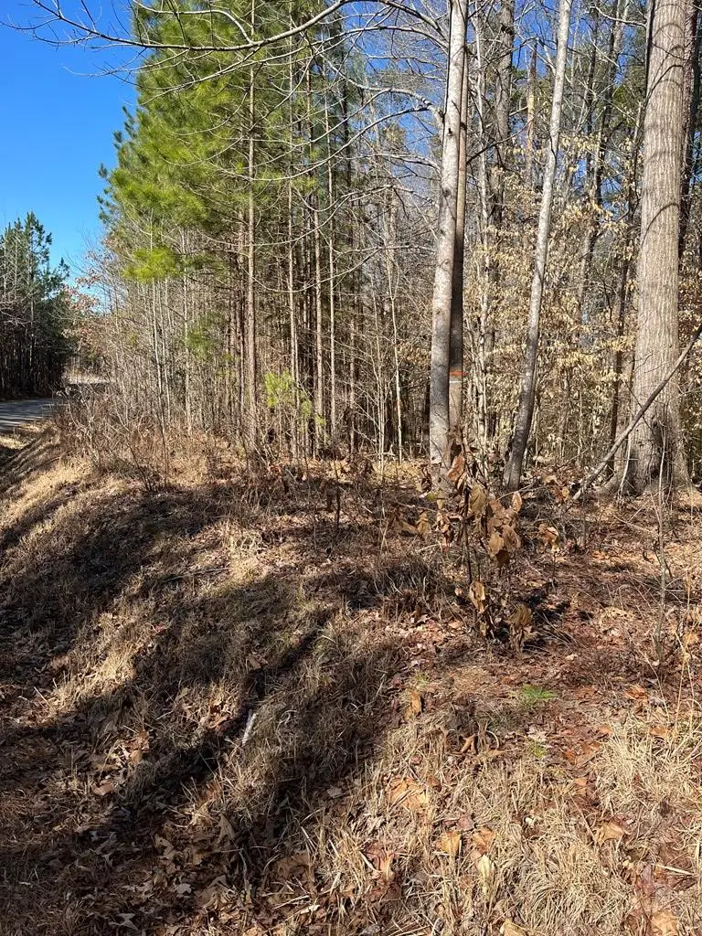 Lot 33 Beechwood Drive, Bracey, VA 23919 - #2