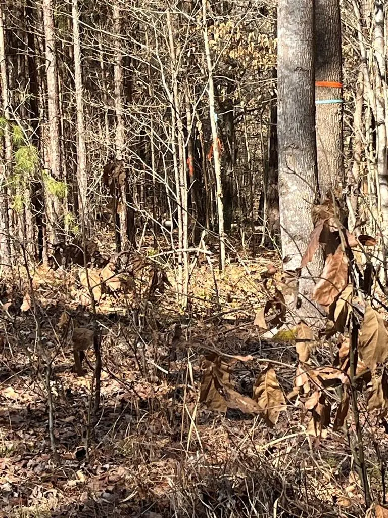 Lot 33 Beechwood Drive, Bracey, VA 23919 - #3