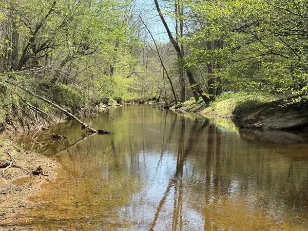 Lewistown Road, Locust Grove, VA 22508