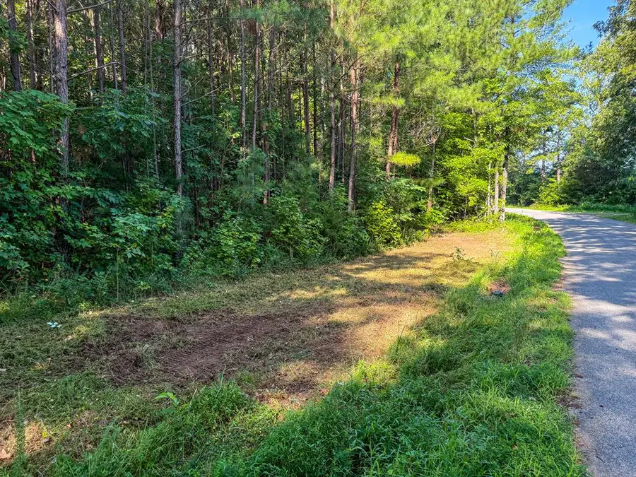 1486 Twin Peaks Road, Chase City, VA 23924 - Image #3