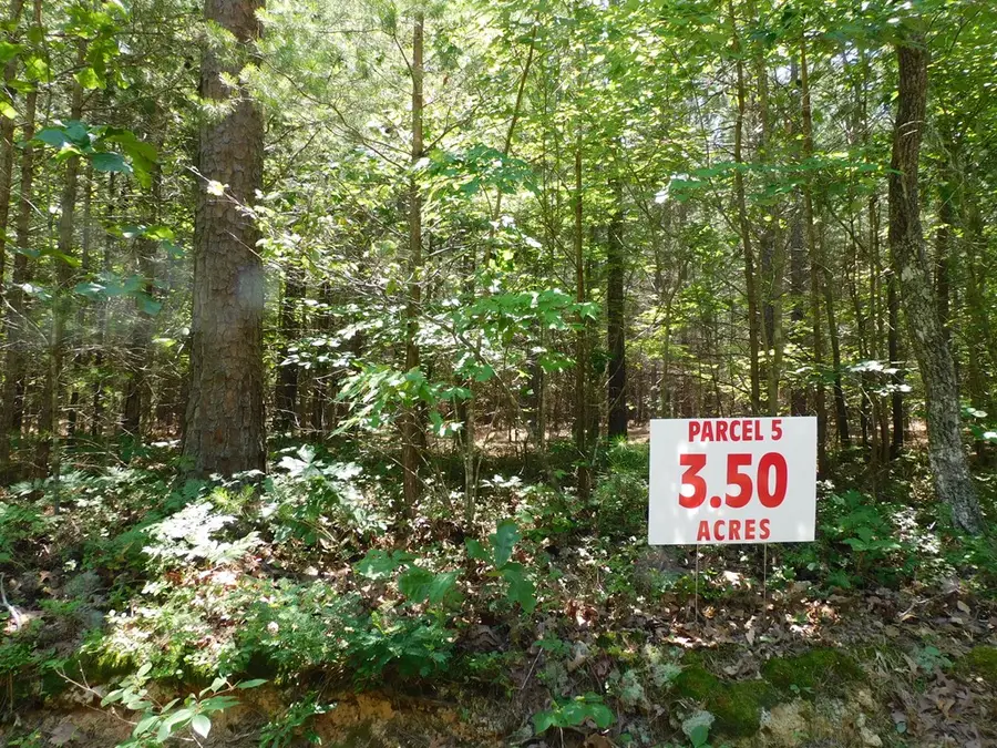 3.50 AC Neals Corner Road, Clover, VA 24534 - Image #2