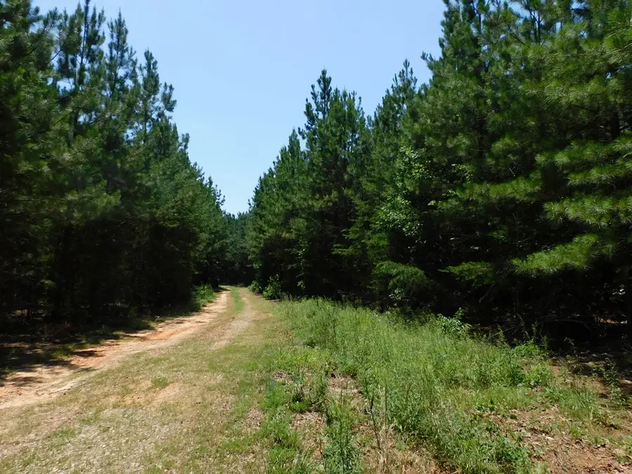 3 Acre Neals Corner Road, Clover, VA 24534 - Image #2