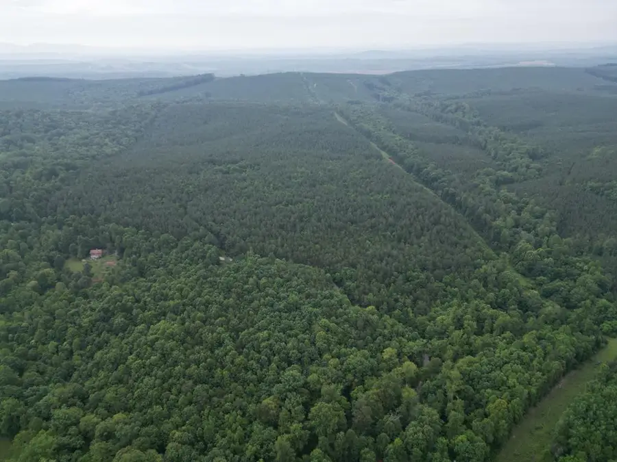 1300 Greenfield Drive, Gladstone, VA 24553 - Image #2