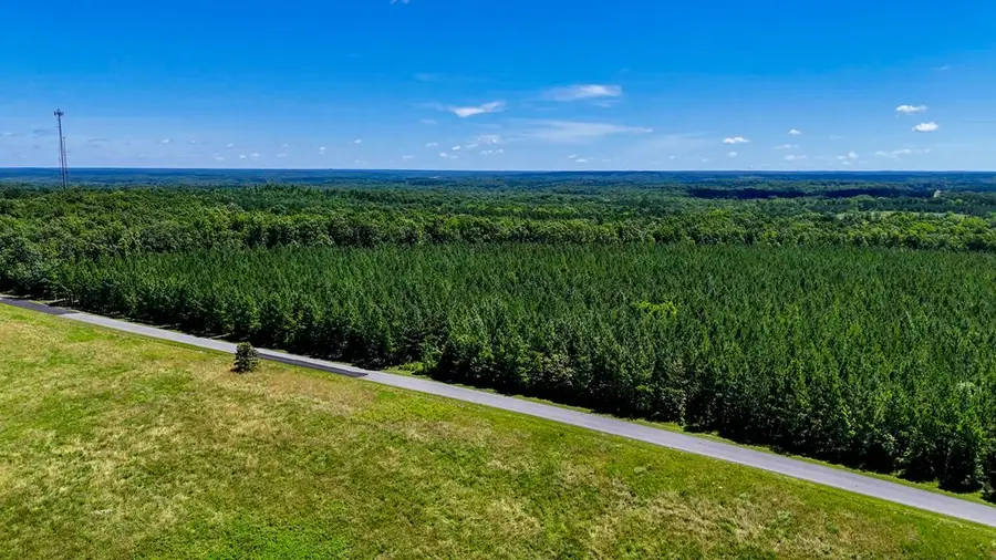 1085 White Oak Forks Road, Virgilina, VA 24598 - Image #2