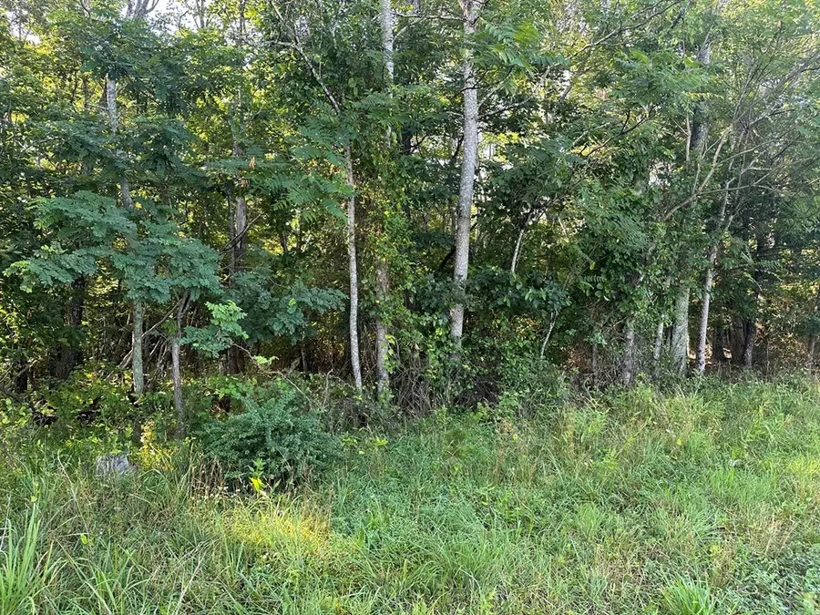 Lot 2B Gidsville Road, Amherst, VA 24521 - Image #3