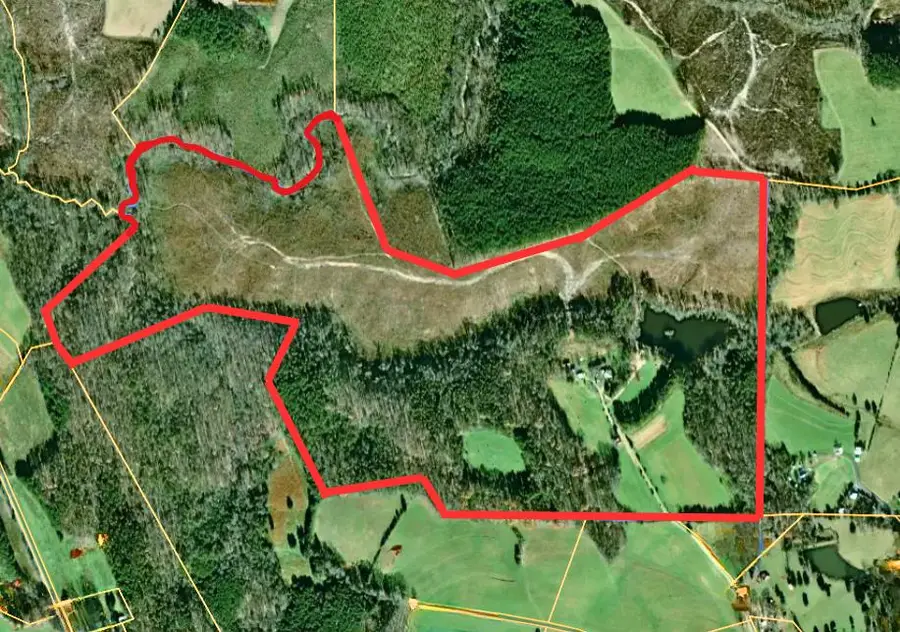 909 Flying W Road, Brookneal, VA 24528 - Image #2