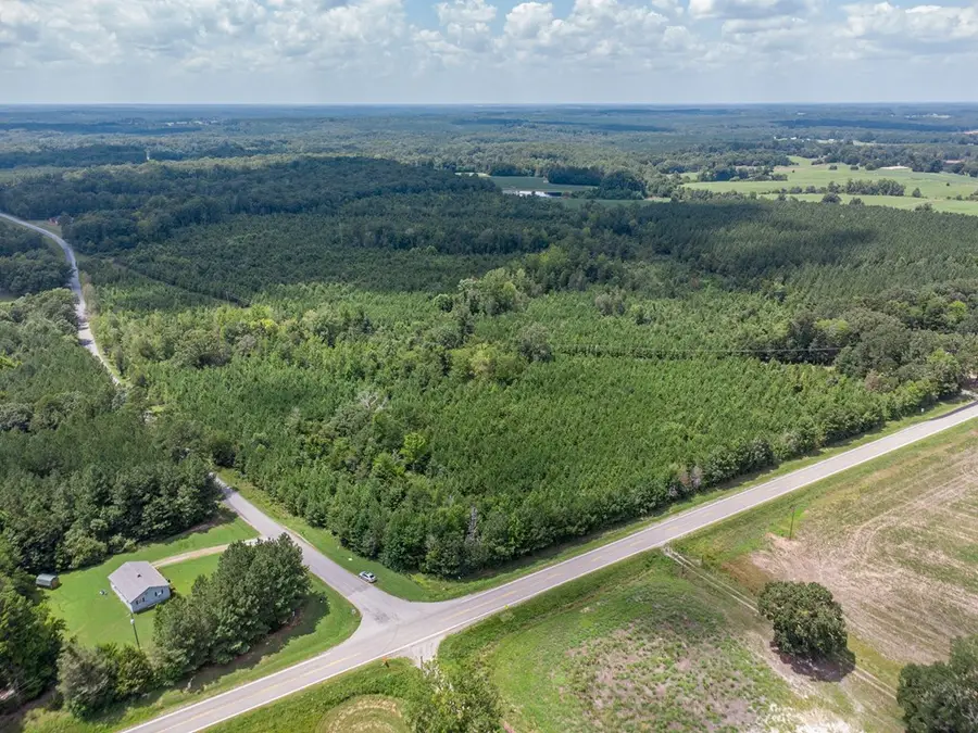 55.44 AC Highway 49, Skipwith, VA 23968 - Image #3