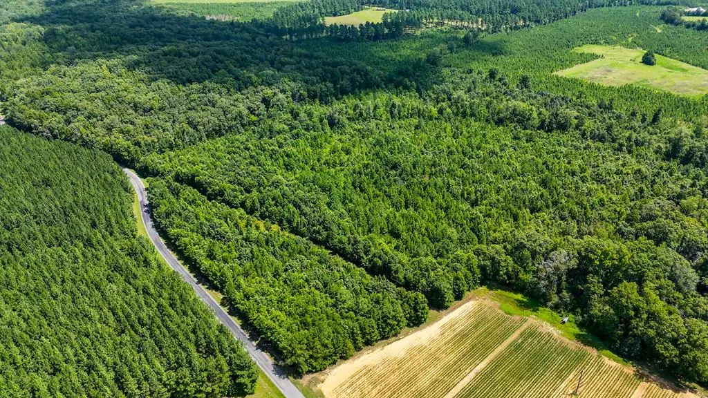 342 Nelson Church Road, Nelson, VA 24580 - Image #1