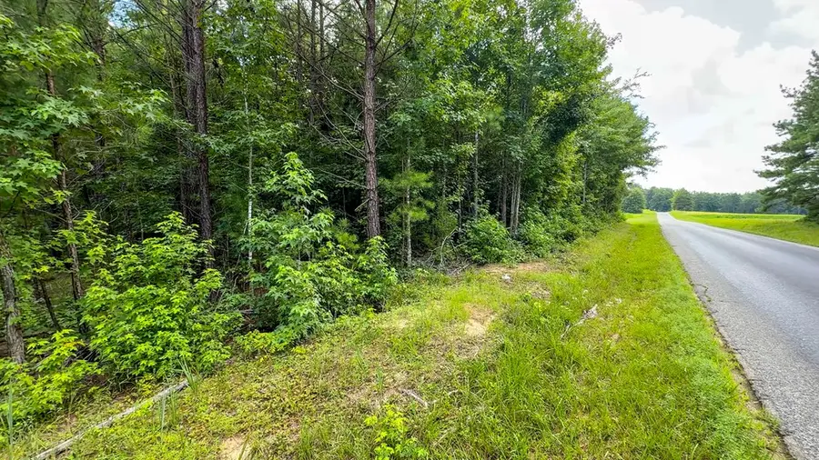 342 Nelson Church Road, Nelson, VA 24580 - Image #3