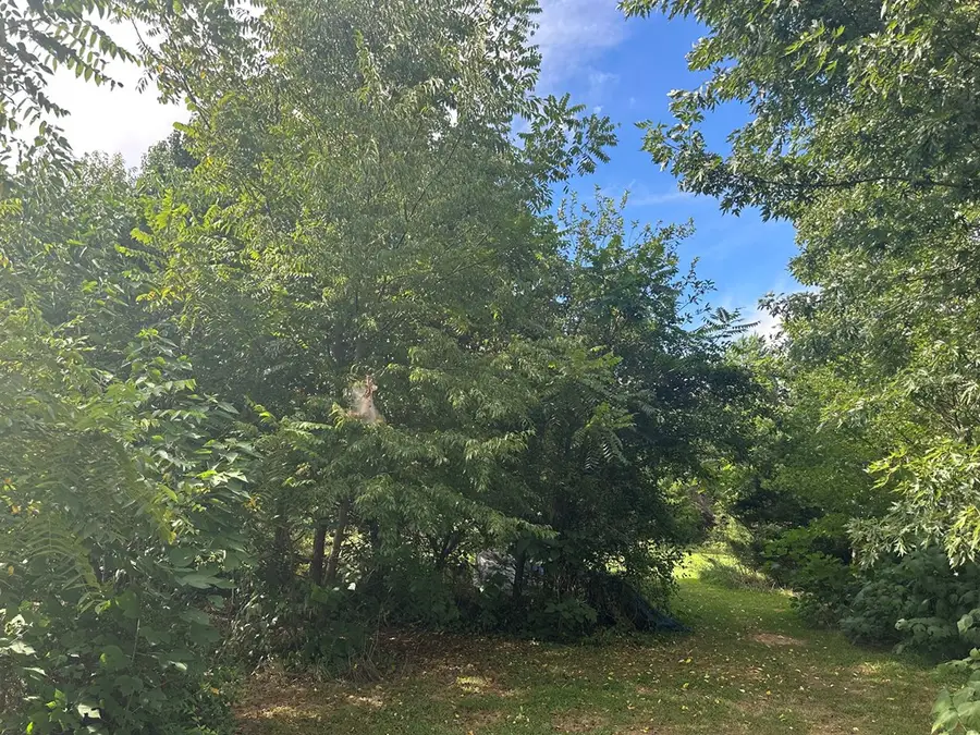 1858 Lewis Ford Road, Brookneal, VA 24528 - #3