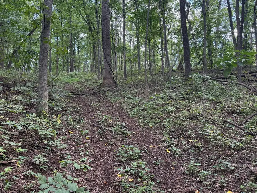 97 Smedley Lane, Bentonville, VA 22610 - Image #3