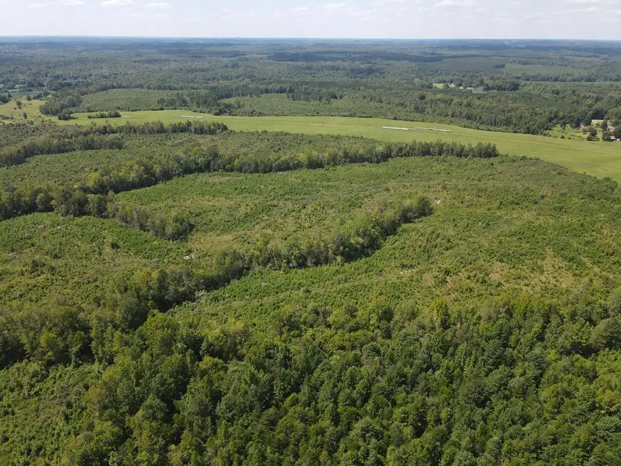 90 acres Old Cox Road, Chase City, VA 23924 - Image #3