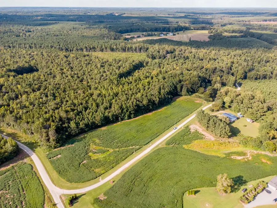 19.76 AC S Farmington Road, Skipwith, VA 23968 - Image #2