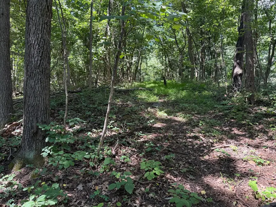 95 Smedley Lane, Bentonville, VA 22610 - Image #3