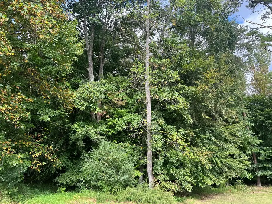 1.51 Ac Brook Run, Halifax, VA 24558 - Image #3