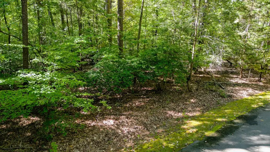 Lot 125 Ridge Drive, Clarksville, VA 23927 - #1