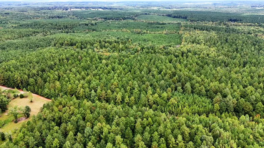 1697 Flat Rock Creek Trail, Victoria, VA 23974 - Image #3