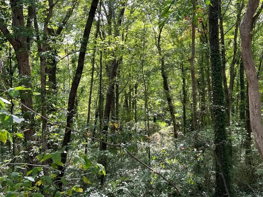 0.7 AC Randolph Avenue, South Boston, VA 24592 - Image #2