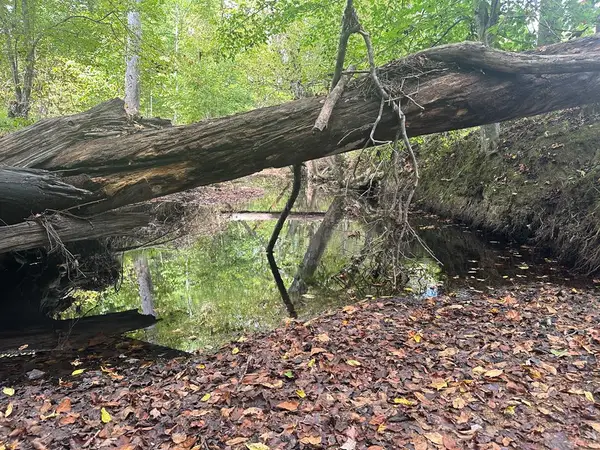 3.1 Acs Wilson Road, Virgilina, VA 24598