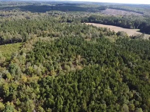 6.8 Acs Wilson Road, Virgilina, VA 24598