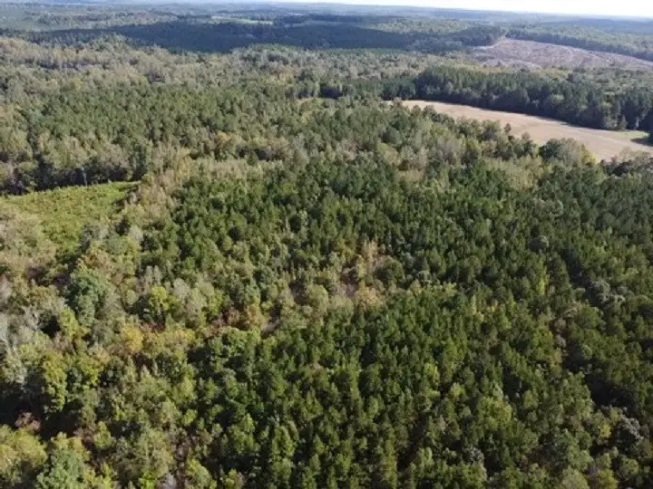 6.8 Acs Wilson Road, Virgilina, VA 24598 - Image #3