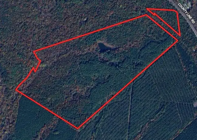 13574 County Line Road, Walton, VA 23974 - Image #2