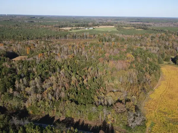 Parcel B S Farmington Road, Skipwith, VA 23968