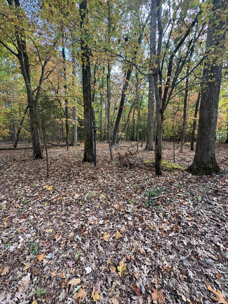 Lot 26 Long Street, Clarksville, VA 23927 - Image #1