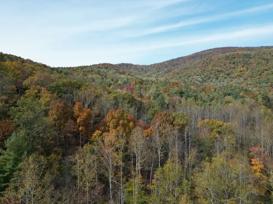 6520 Blackwells Hollow Road, Crozet, VA 22932 - Image #2