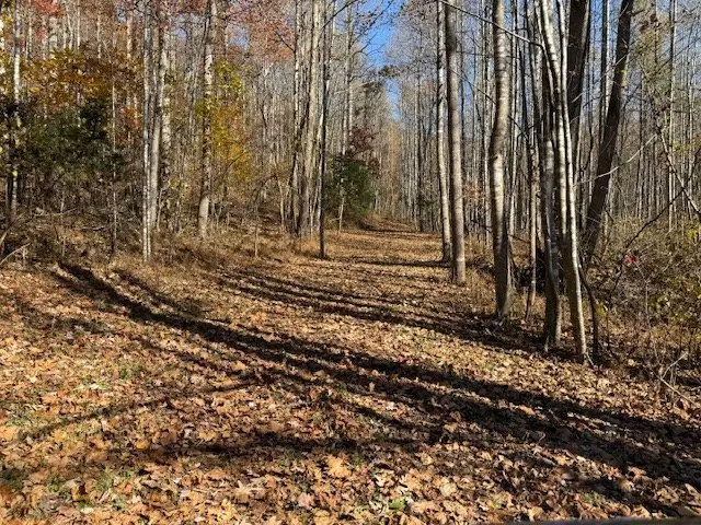 6500 Irish Road, Faber, VA 22938 - Image #3