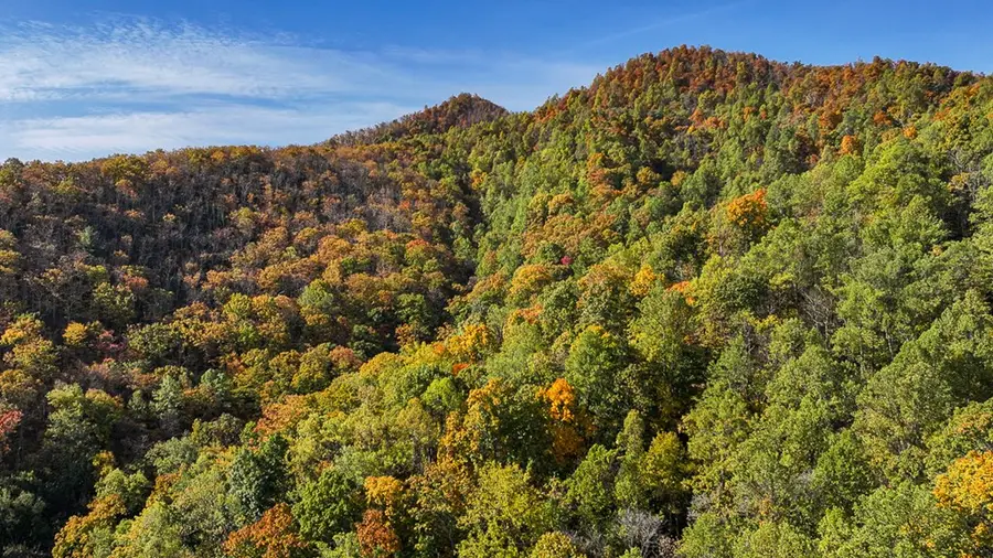 139 Indigo Ridge, Monroe, VA 24574 - Image #3