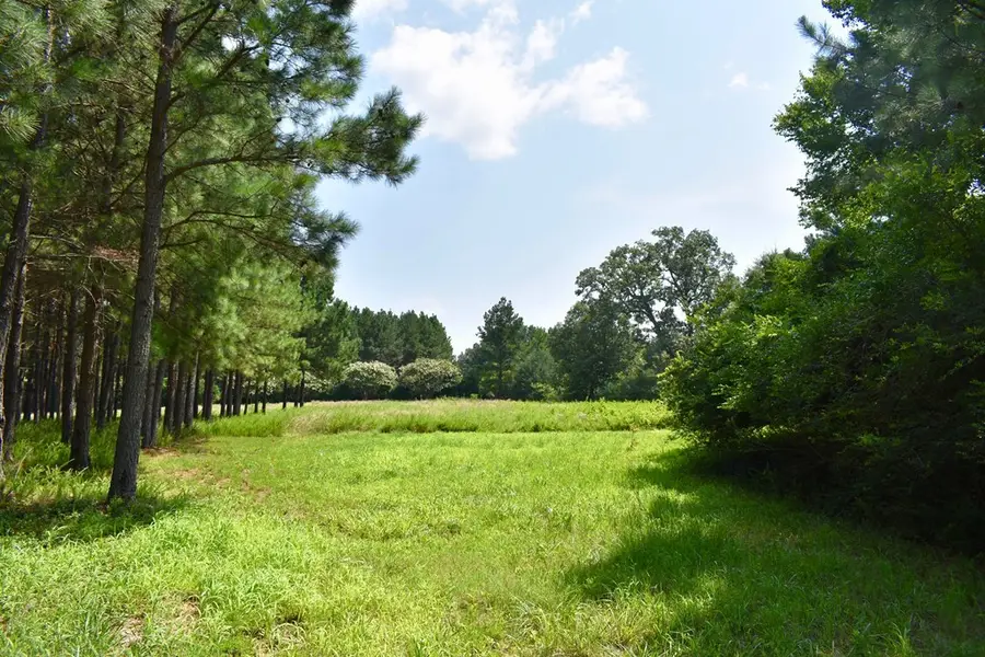 Lot 3 Woodlawn Drive, Clarksville, VA 23927 - Image #2