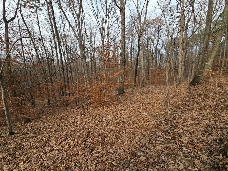 Lots 3-4 Powhatan Road, Clarksville, VA 23927 - Image #2