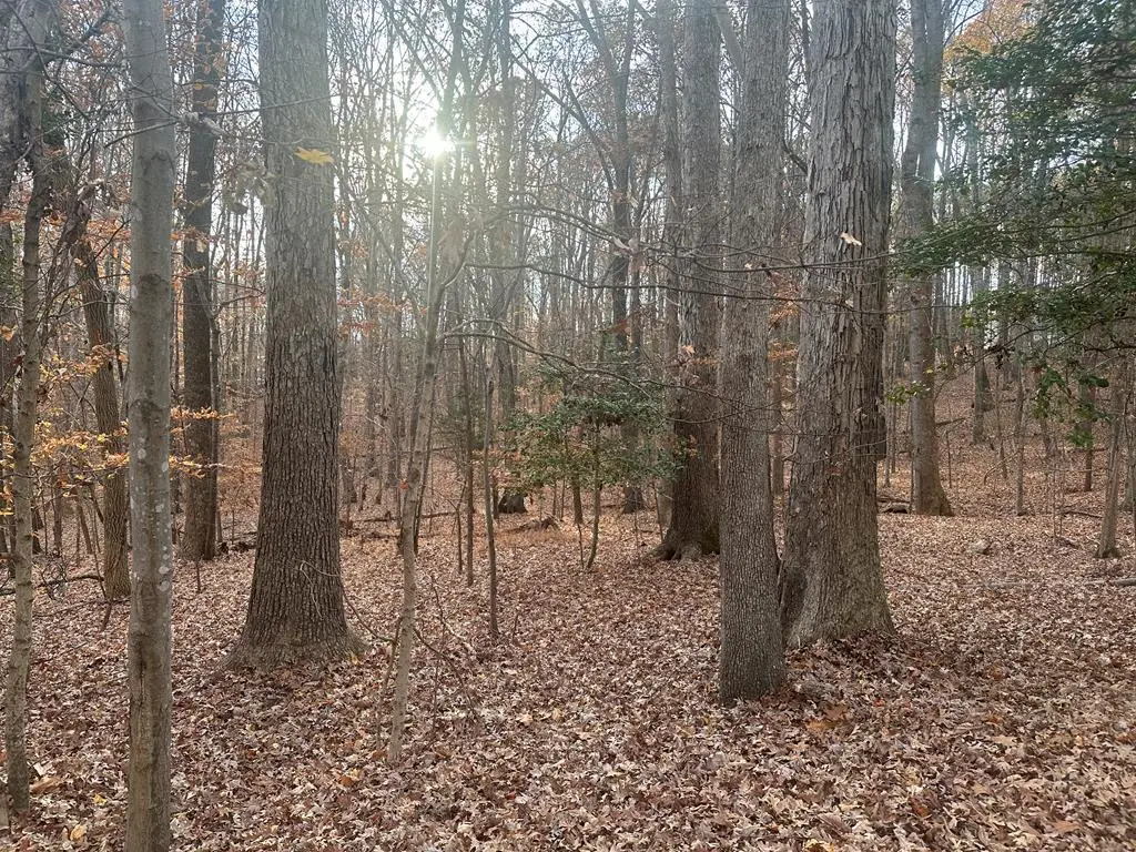 Lot 51 Maplewood Court, Clarksville, VA 23927 - Image #1